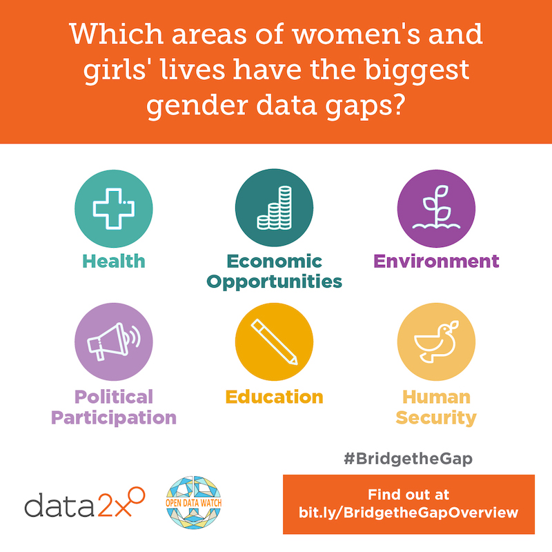 Bridging the Gap Through Gender Data | Anankemag