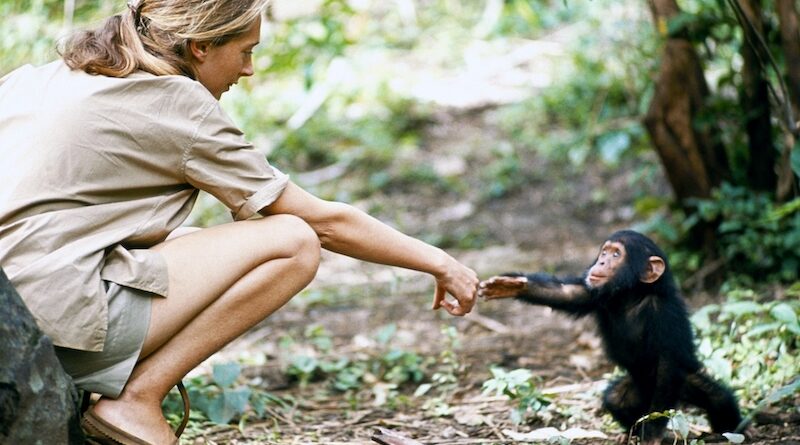 Dr. Jane Goodall: In Harmony with Nature