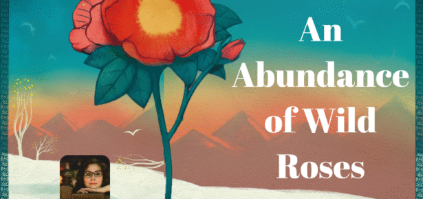 Celebrating a feminist lens on human and environmental degradation